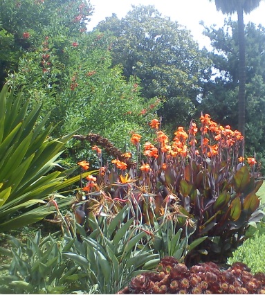 botanical gardens, melbourne
